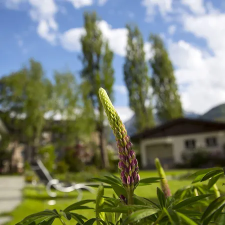 酒店 Boutique Bellevue