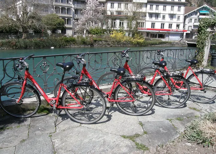 Boutique Bellevue Hotel 4*