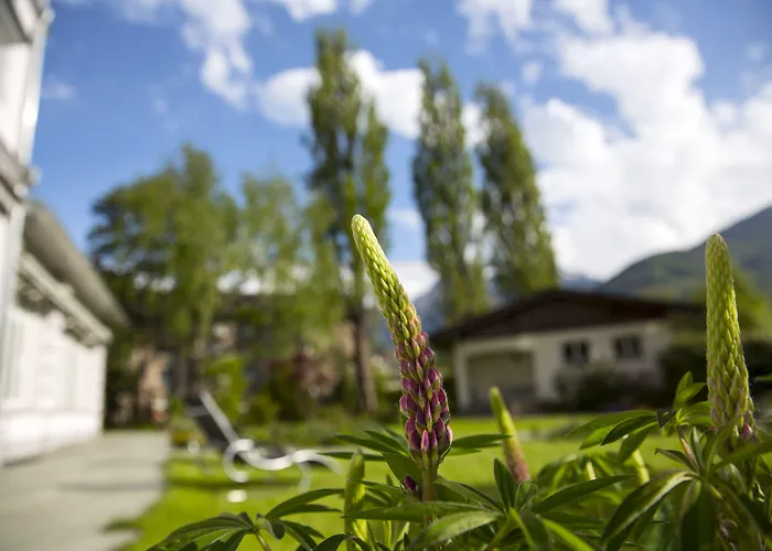 Hotel Boutique Bellevue