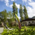 Hotel Boutique Bellevue